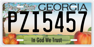 GA license plate PZI5457