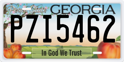 GA license plate PZI5462
