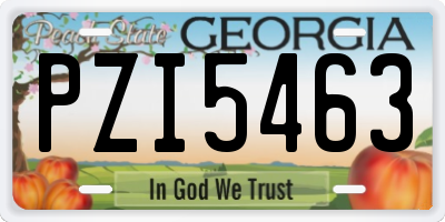 GA license plate PZI5463