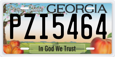 GA license plate PZI5464