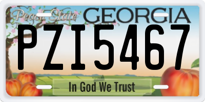 GA license plate PZI5467