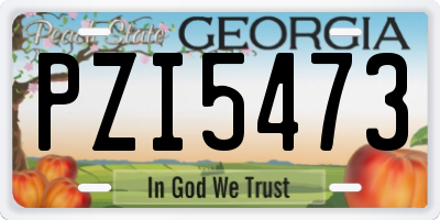 GA license plate PZI5473
