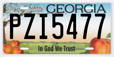 GA license plate PZI5477