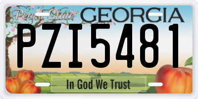 GA license plate PZI5481