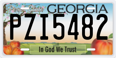 GA license plate PZI5482