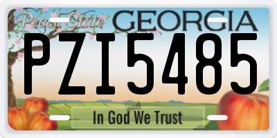 GA license plate PZI5485