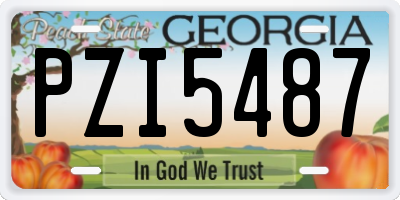 GA license plate PZI5487