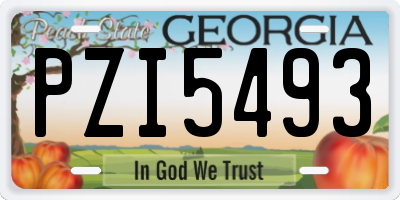 GA license plate PZI5493