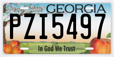 GA license plate PZI5497