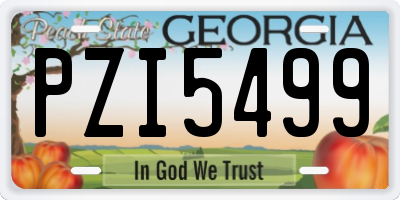 GA license plate PZI5499
