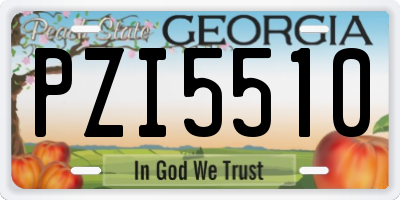 GA license plate PZI5510
