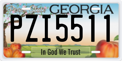 GA license plate PZI5511