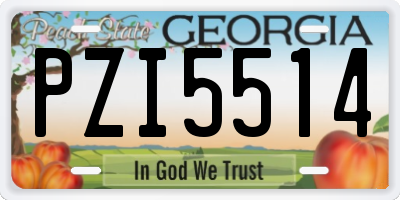 GA license plate PZI5514