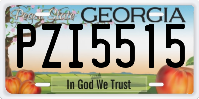 GA license plate PZI5515