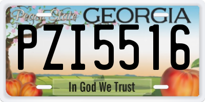 GA license plate PZI5516
