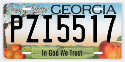 GA license plate PZI5517