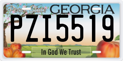 GA license plate PZI5519