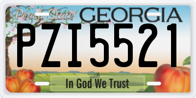 GA license plate PZI5521