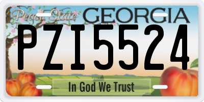 GA license plate PZI5524
