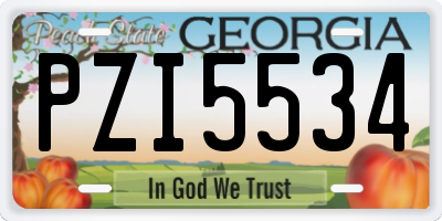 GA license plate PZI5534