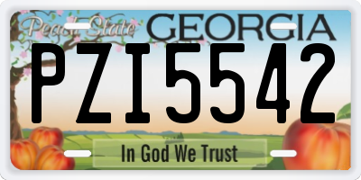 GA license plate PZI5542