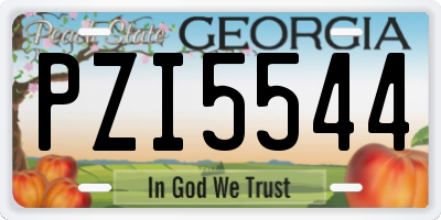 GA license plate PZI5544