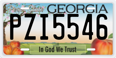 GA license plate PZI5546