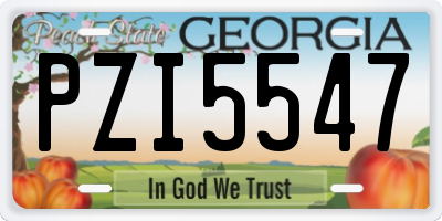 GA license plate PZI5547