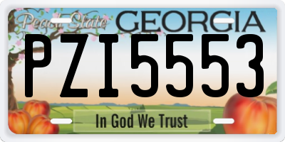 GA license plate PZI5553