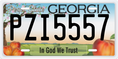 GA license plate PZI5557