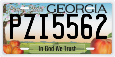 GA license plate PZI5562