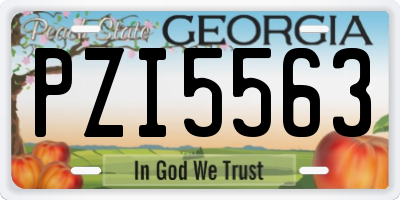 GA license plate PZI5563
