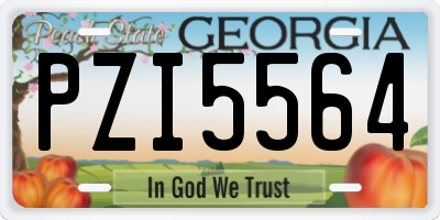 GA license plate PZI5564