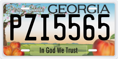 GA license plate PZI5565