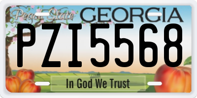 GA license plate PZI5568