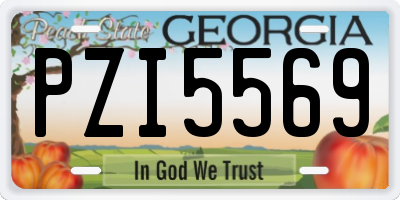 GA license plate PZI5569