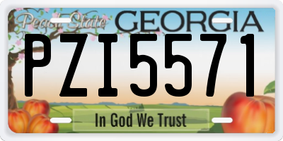 GA license plate PZI5571