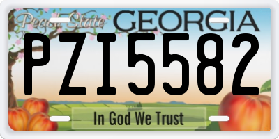 GA license plate PZI5582