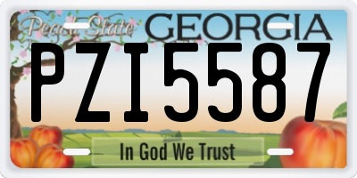 GA license plate PZI5587
