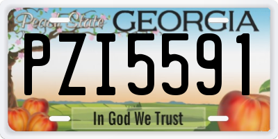 GA license plate PZI5591