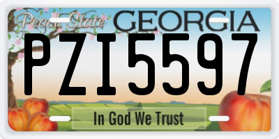 GA license plate PZI5597