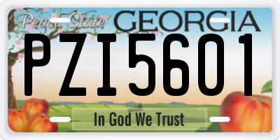 GA license plate PZI5601