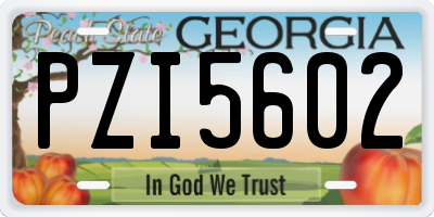 GA license plate PZI5602