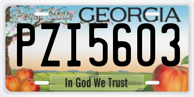 GA license plate PZI5603