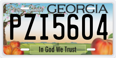 GA license plate PZI5604