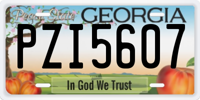 GA license plate PZI5607
