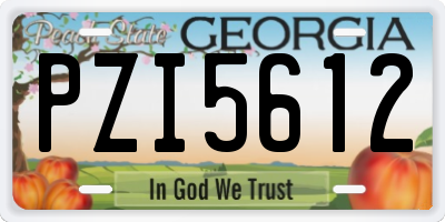 GA license plate PZI5612