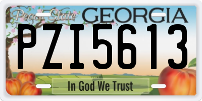 GA license plate PZI5613