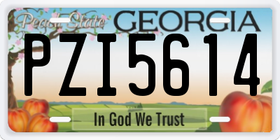 GA license plate PZI5614