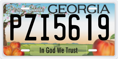 GA license plate PZI5619